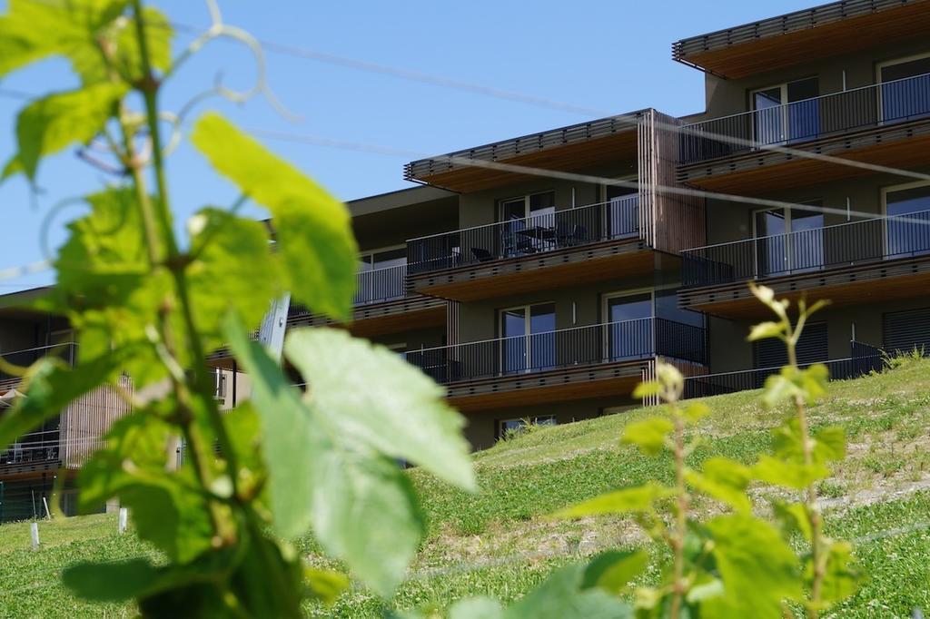 Relax Residence Südsteiermark Ehrenhausen Habitación foto